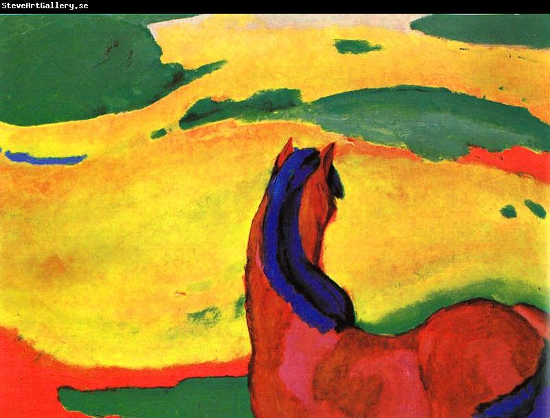 Franz Marc Horse in a Landscape